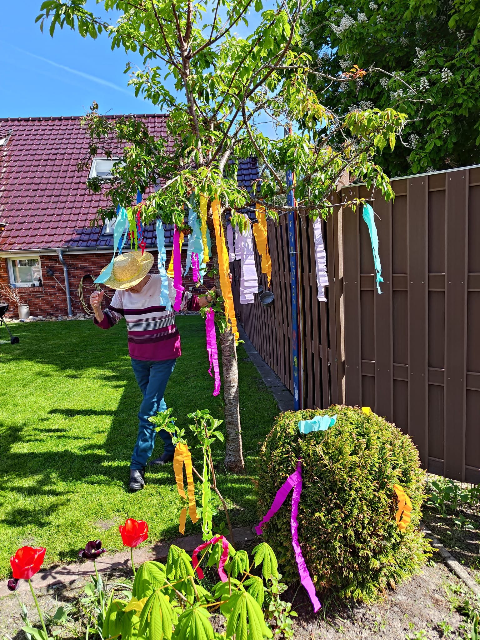 Maibaum im Garten des Fehntjer Huus