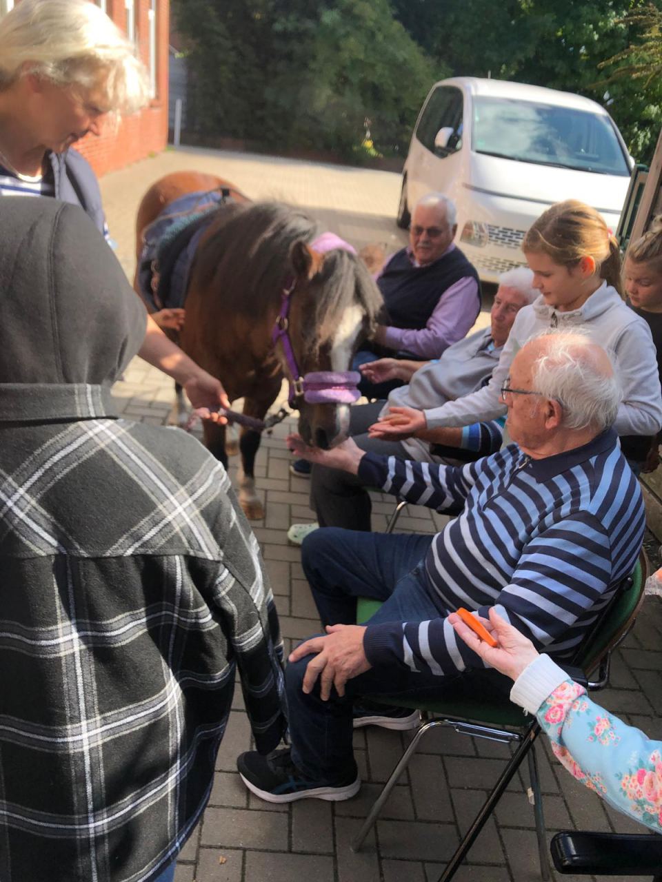 Unsere Gäste sitzen vor dem Haus und füttern ein Pony mit lila Halfter mit Möhren